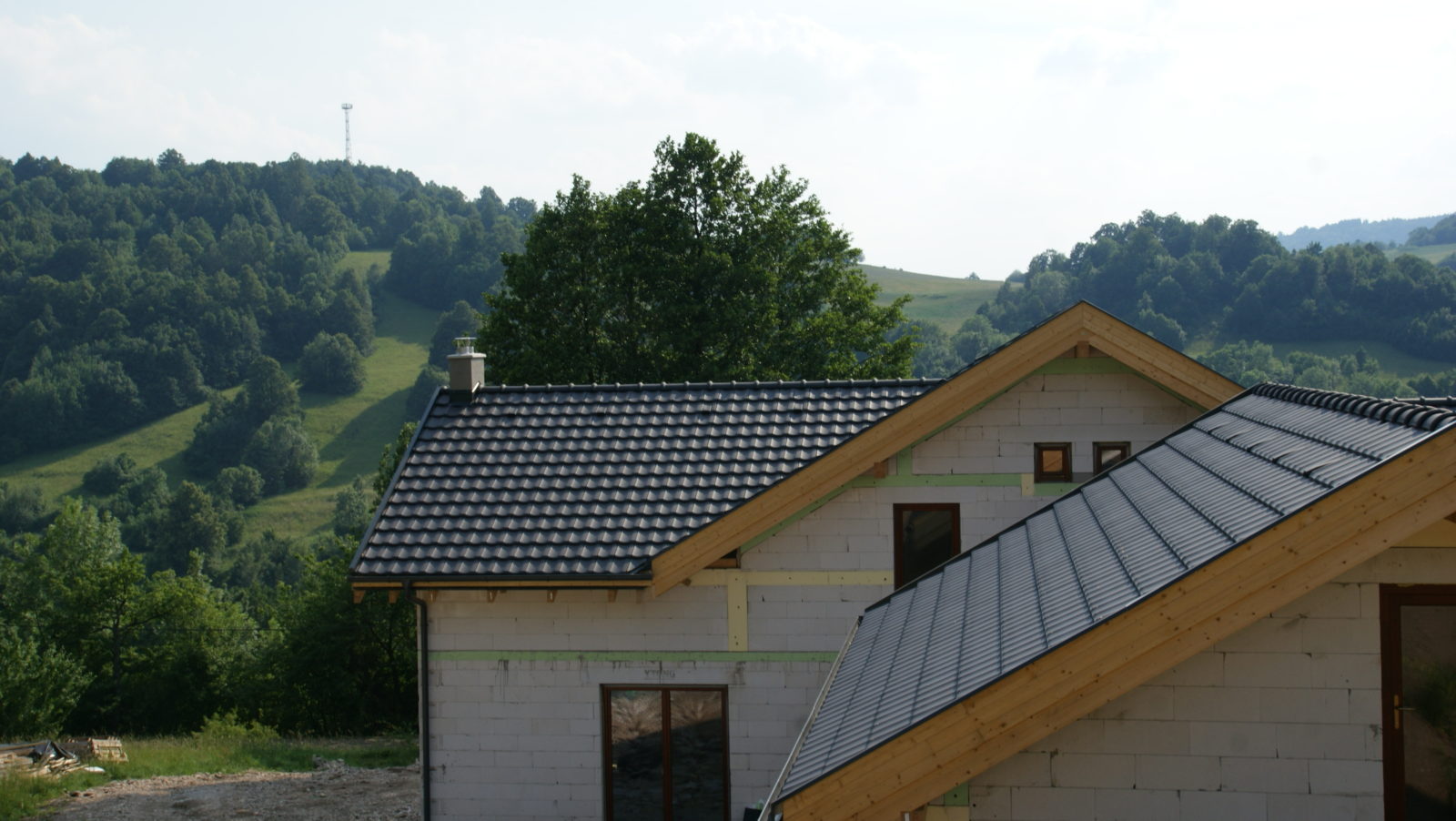SDC10503