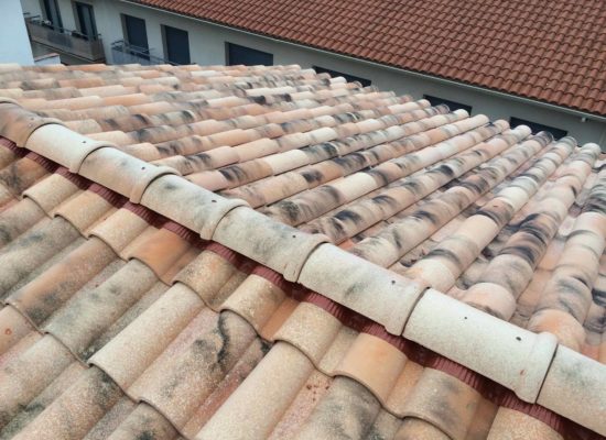 Tb-10_lamalou-roof-tile_50852032222_o