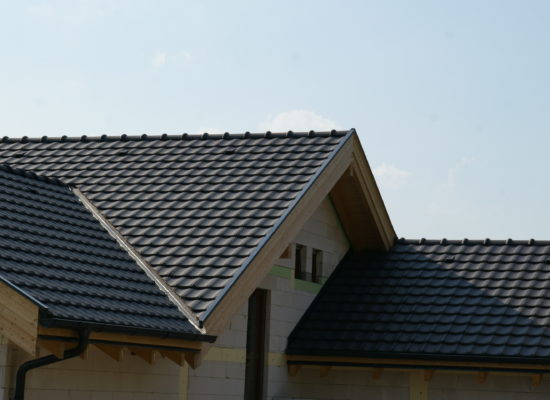 DSC06061