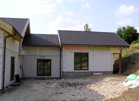 P1010008