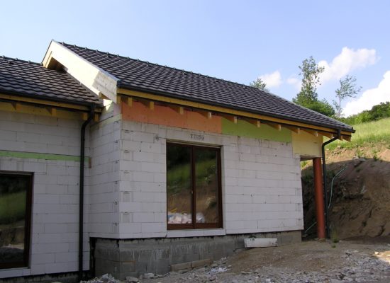 P1010027