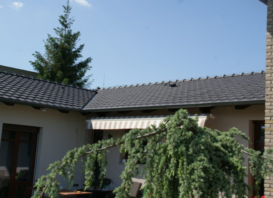 DSC05717