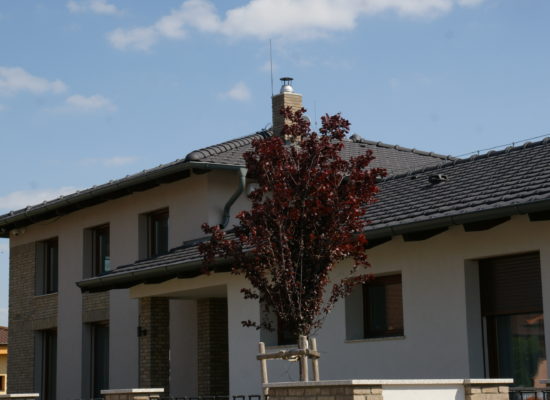 DSC05723