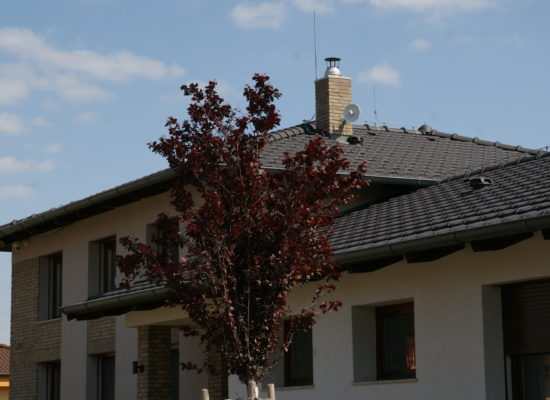 DSC05724
